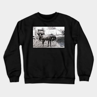 On the farm Crewneck Sweatshirt